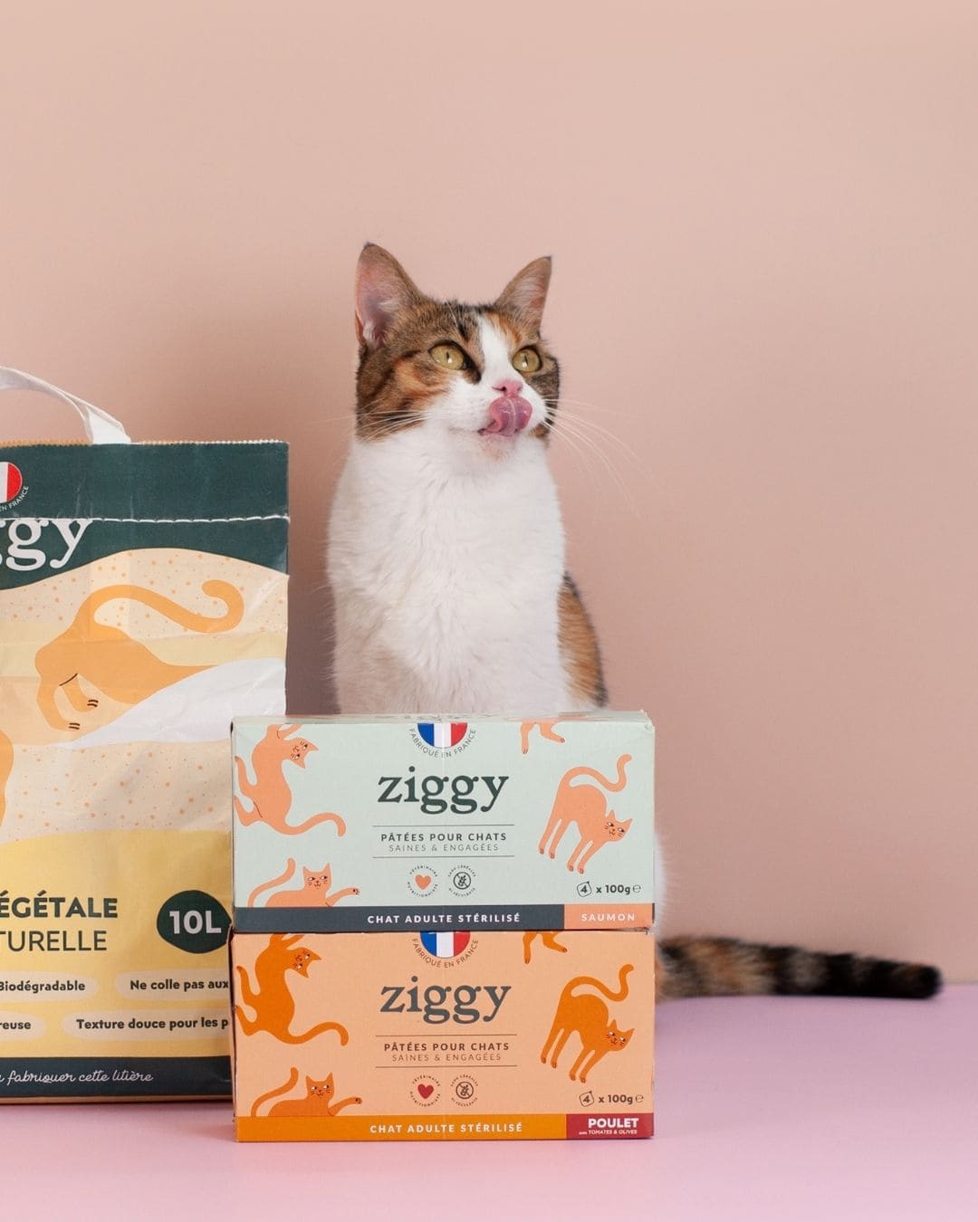 Pâtée Ziggy Stérilisé Poulet, vue de l'intérieur du produit