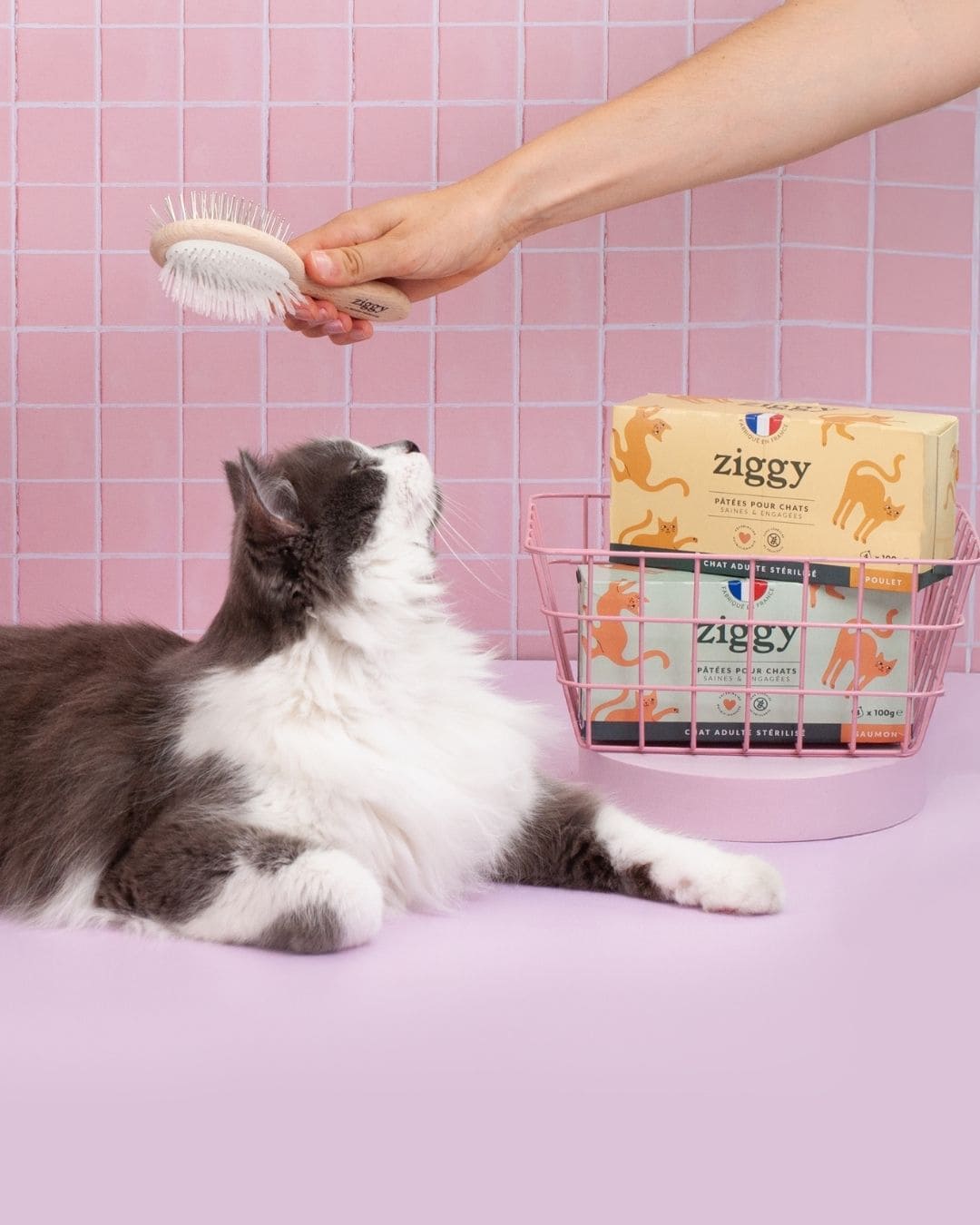 Pâtée Ziggy Stérilisé Poulet, gros plan sur l'emballage