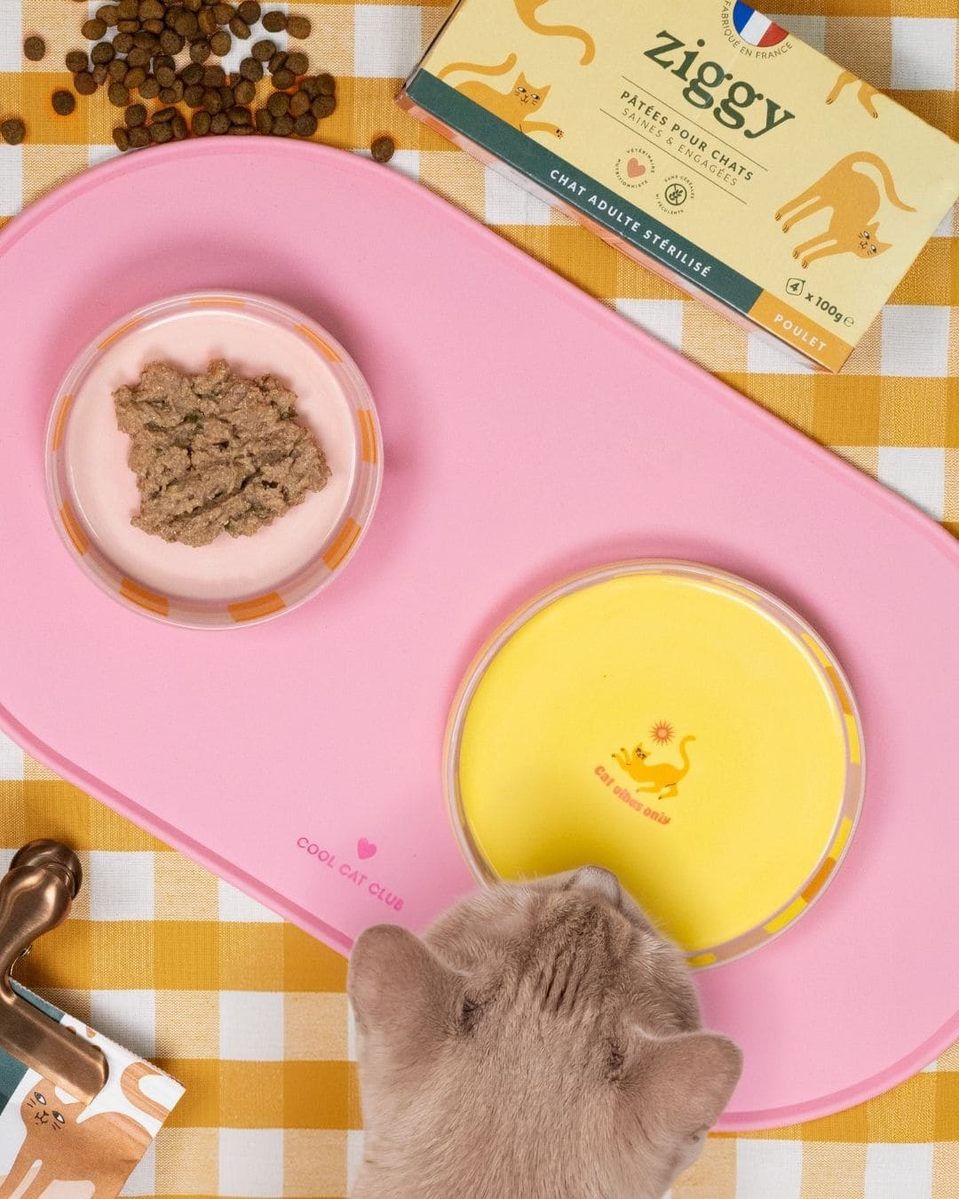 Pâtée Ziggy Stérilisé Poulet, mise en situation avec un chat