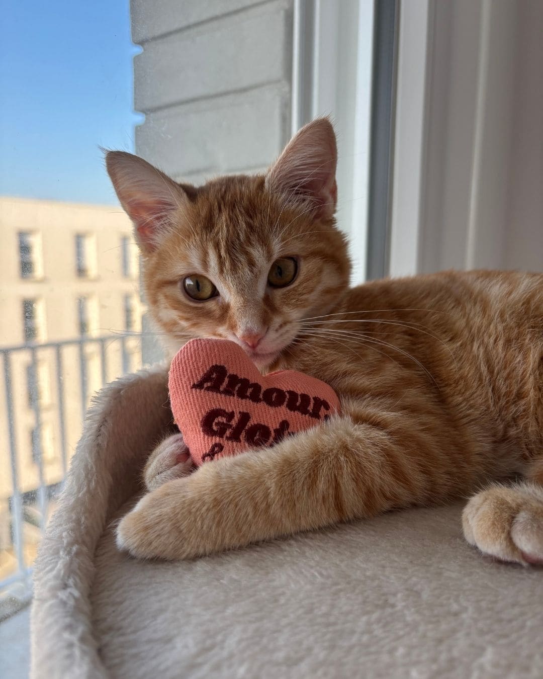 Peluche Ziggy Amour Gloire et Pâtée, vue de profil