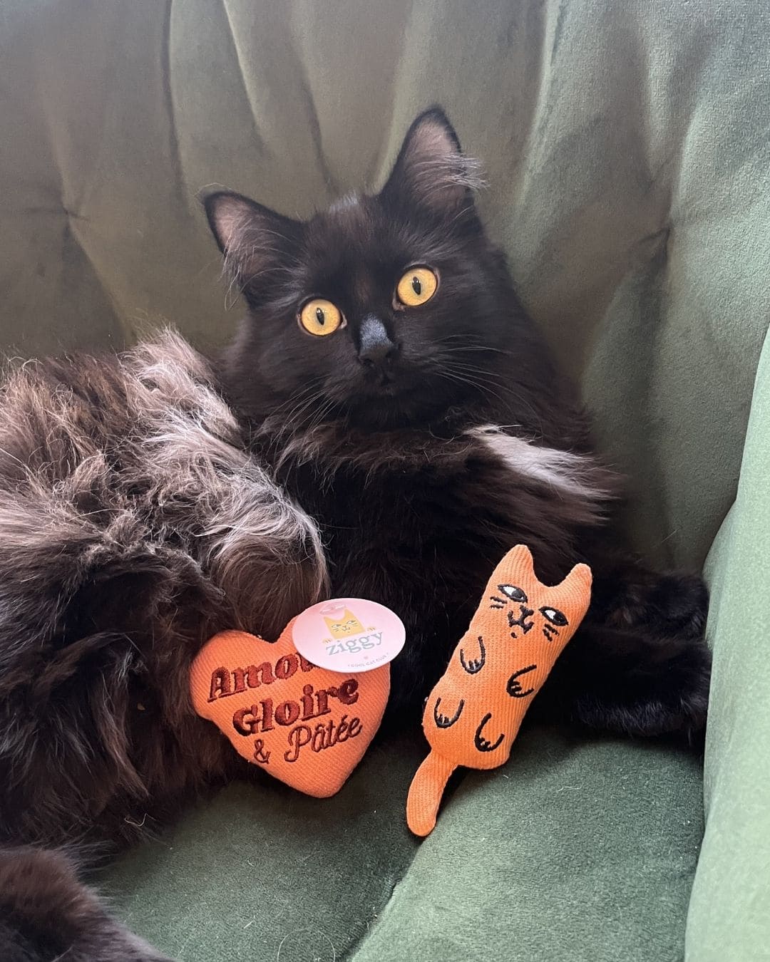 Peluche Ziggy Amour Gloire et Pâtée, tenue en main pour l'échelle