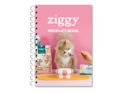 Product Book Ziggy