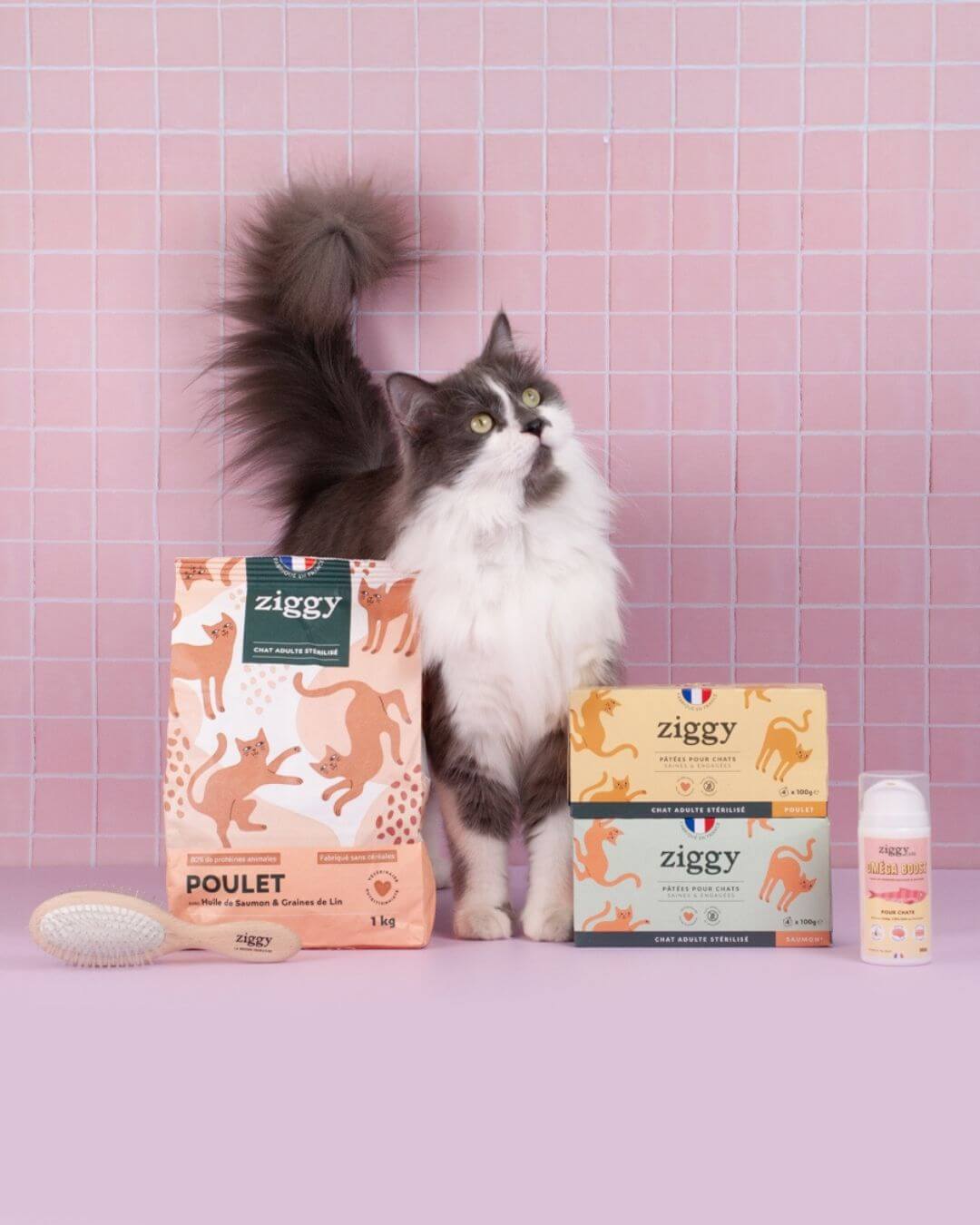 Brosse Ziggy, photo produit sur fond rose