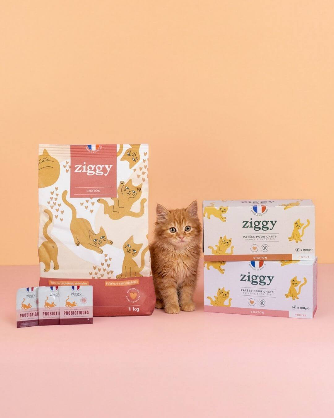 Gamme de produits Ziggy pour chaton, packshot sur fond neutre