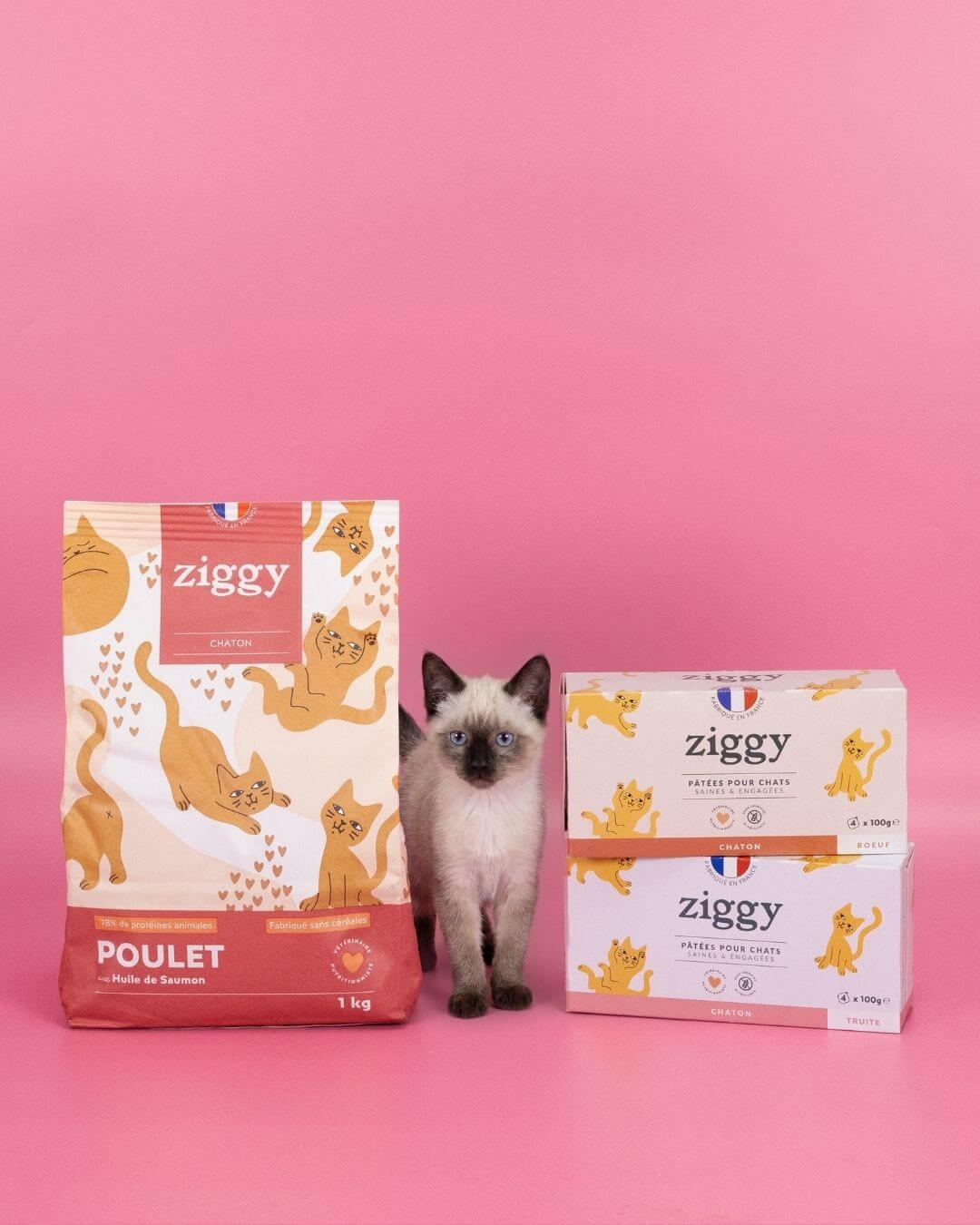 Produit Ziggy pour chaton, photo sur fond rose