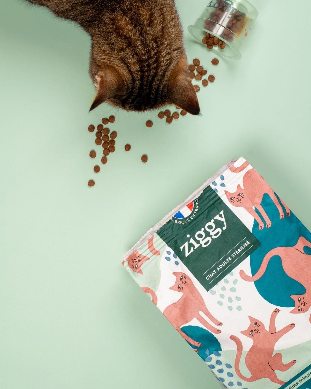 Croquettes Ziggy pour chat adulte, produit sur fond vert