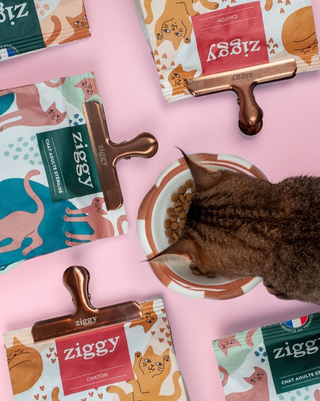 Croquettes Ziggy pour chat adulte, packshot sur fond rose