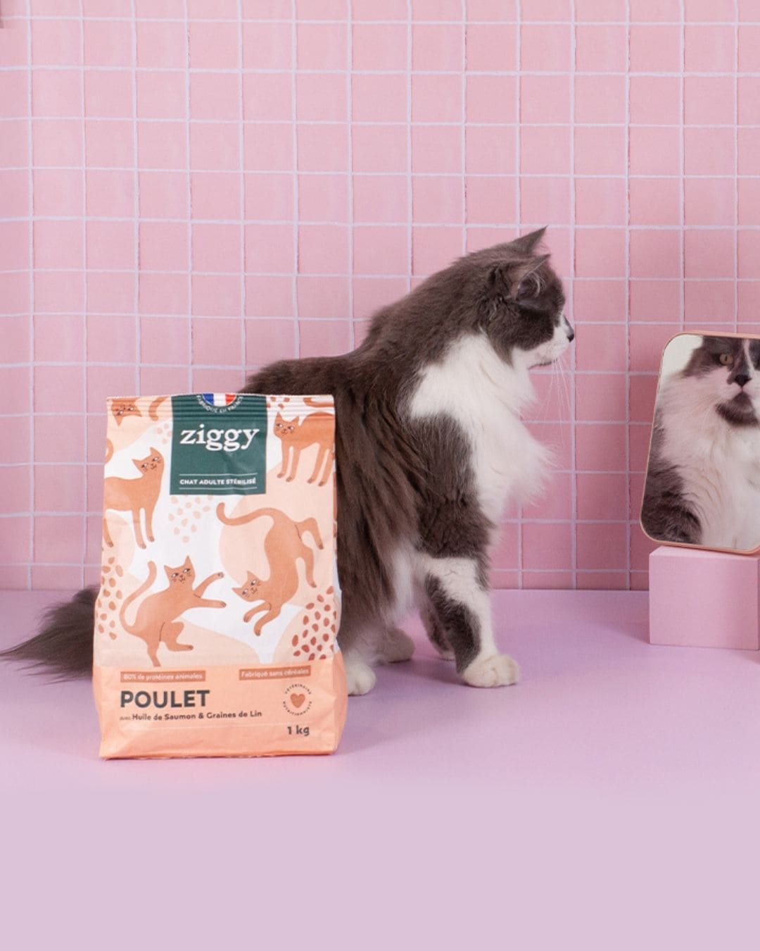 Croquettes Ziggy pour chat adulte, chat près du produit sur fond rose