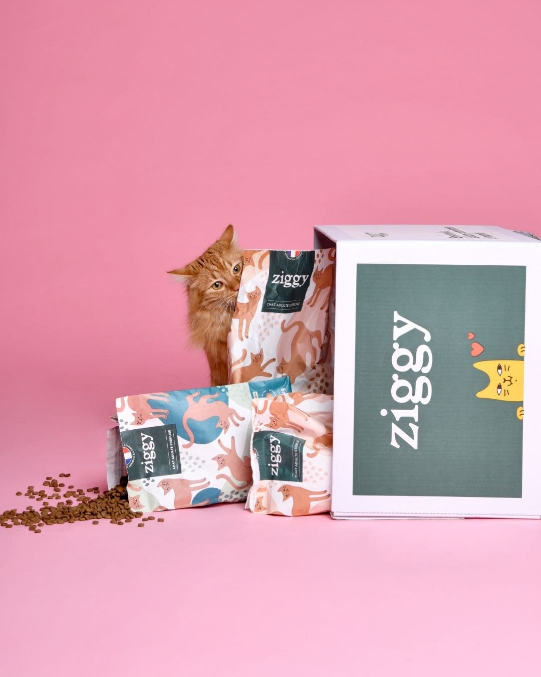Croquettes Ziggy pour chat adulte, second visuel produit sur fond rose