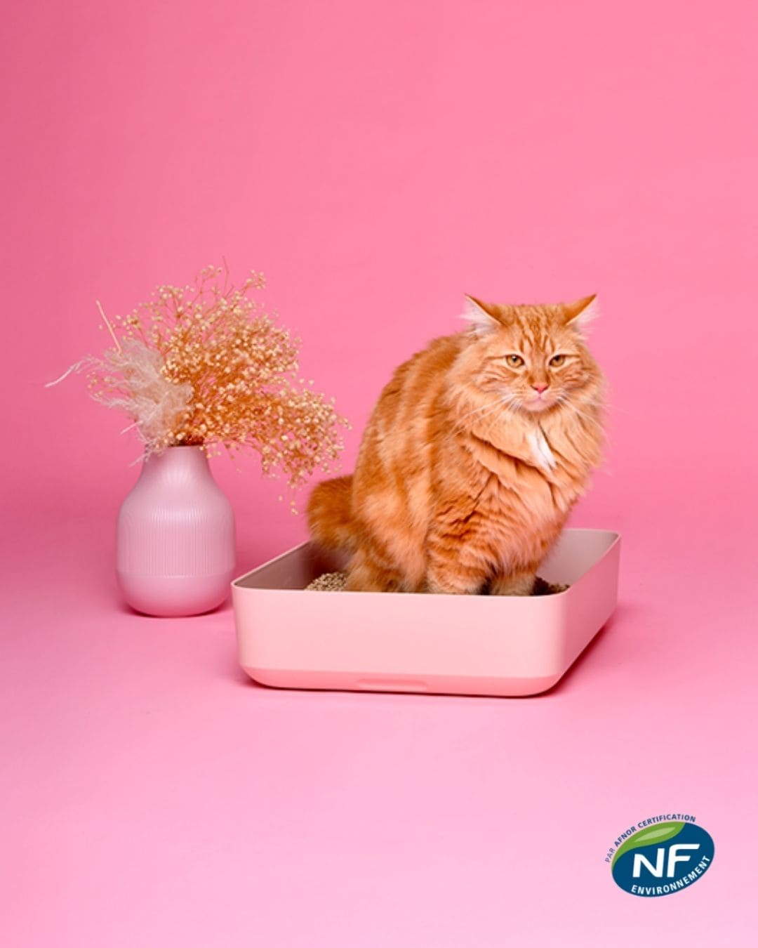 Litière Ziggy, photo produit sur fond rose