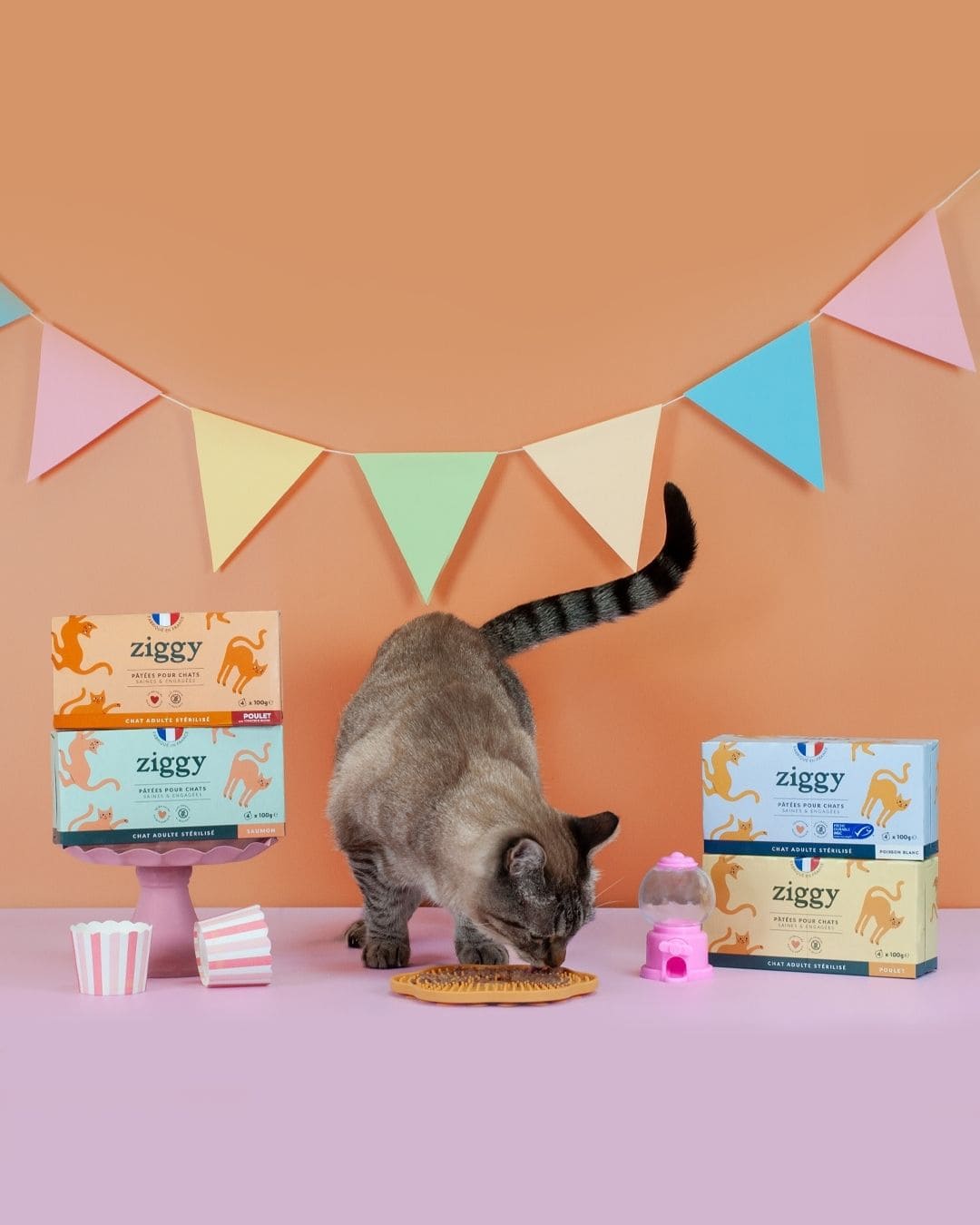 Pâtée Ziggy pour chat adulte, décor de fanions sur fond rose