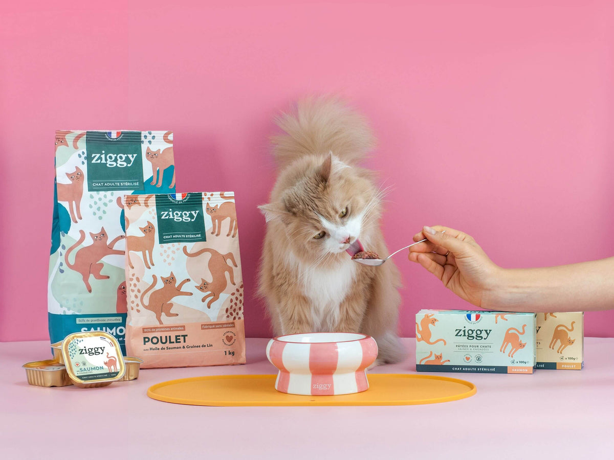 Coffret Ziggy Stérilisé Poulet, chat entouré de l'ensemble des produits du coffret