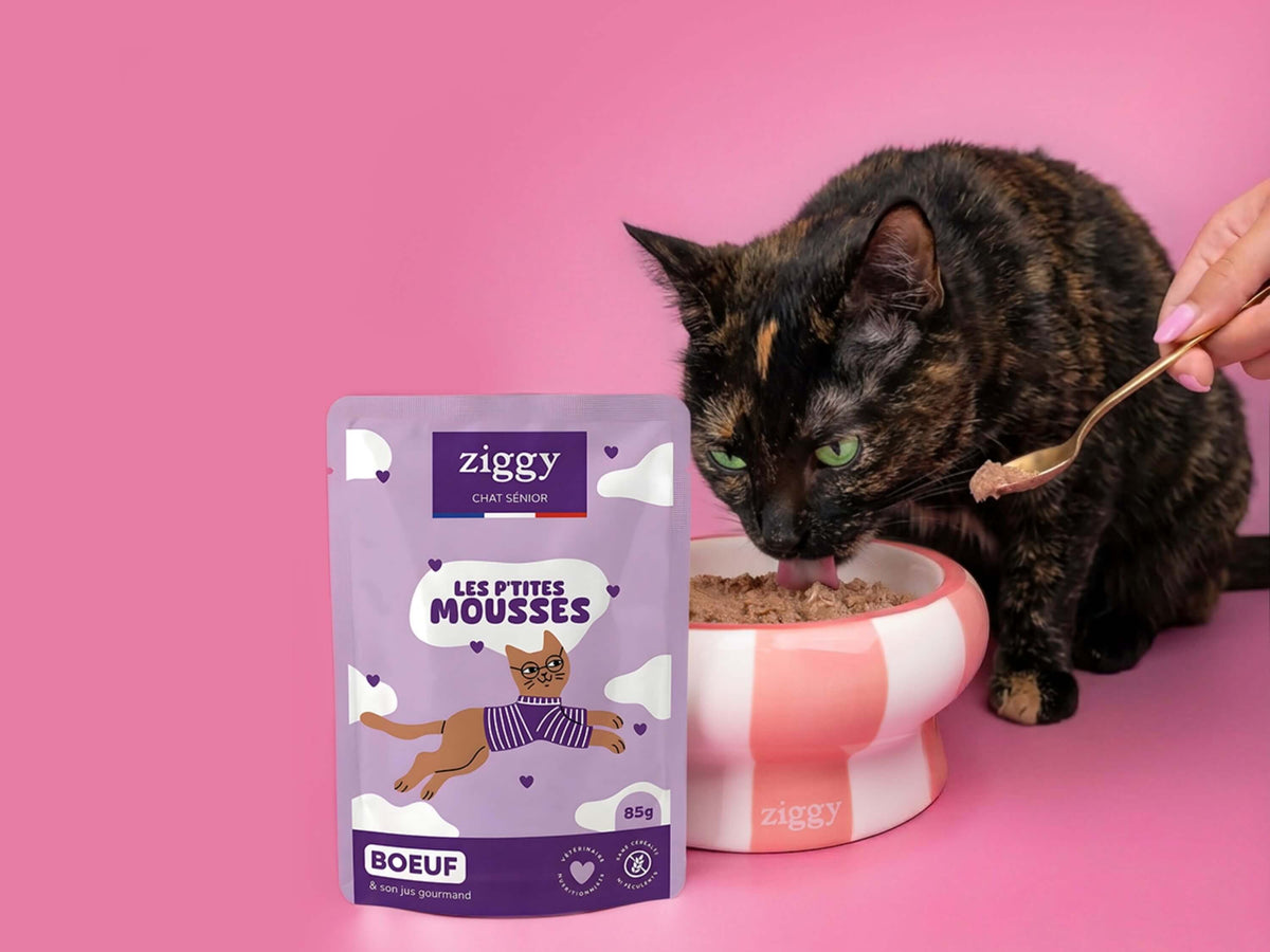 Chat noir en train de manger une mousse Ziggy pour chat senior sans céréales au bœuf, à côté de son sachet