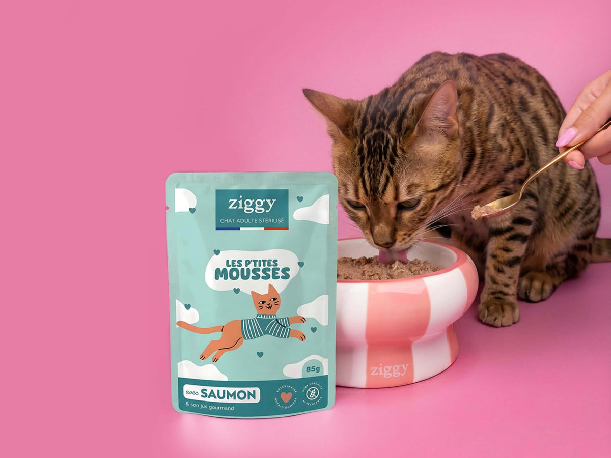 Chat tigré mangeant dans une gamelle à côté d’un sachet de mousse Ziggy pour chat stérilisé au saumon