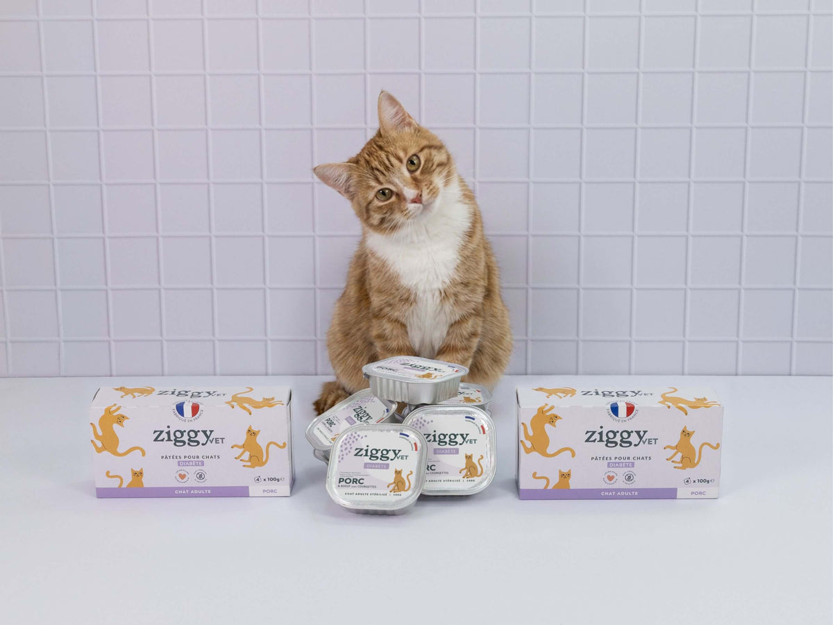 Pâtée Ziggy Diabète, visuel produit détouré