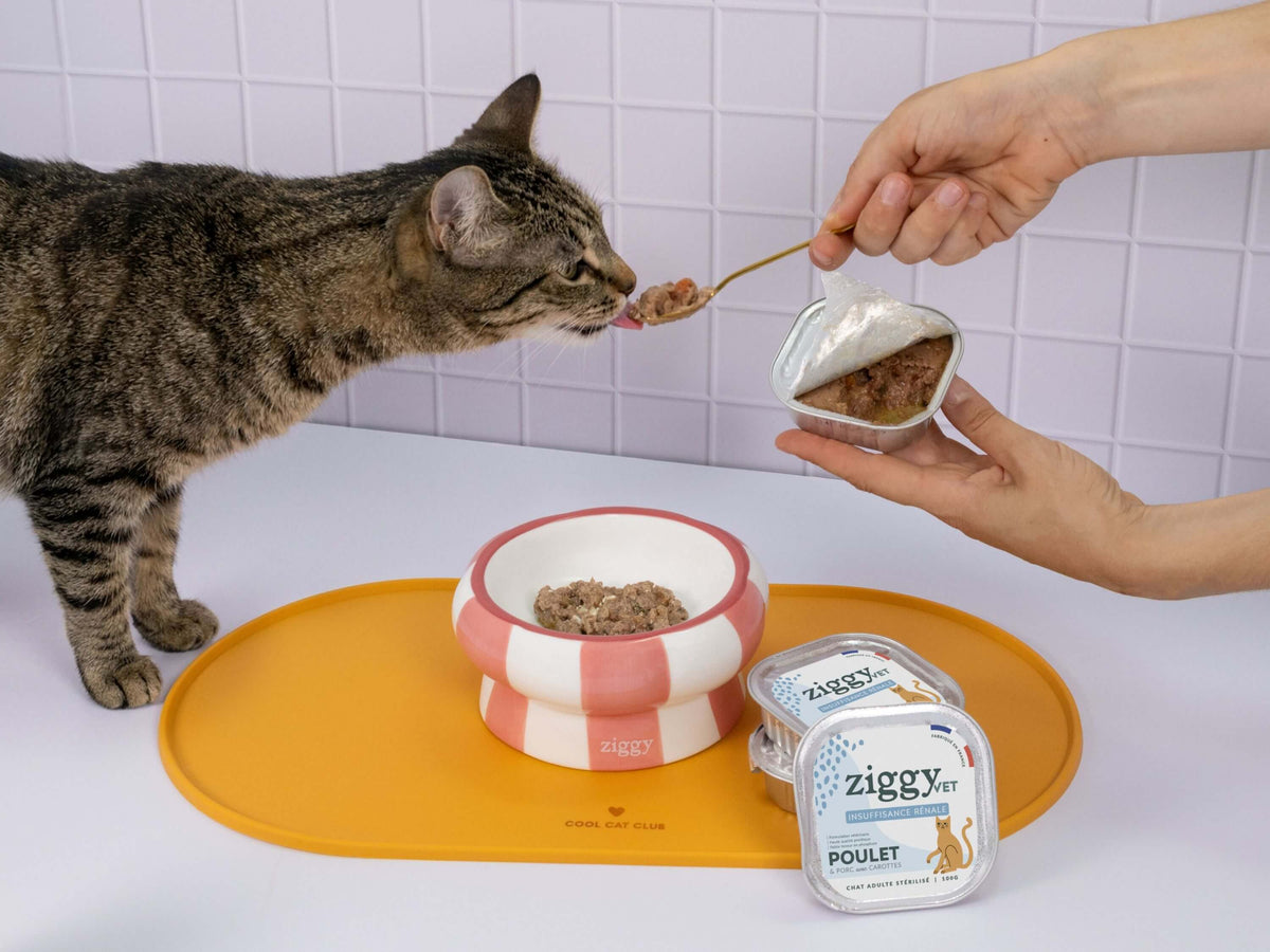 Pâtée Ziggy Rénal Poulet, packshot sur fond neutre