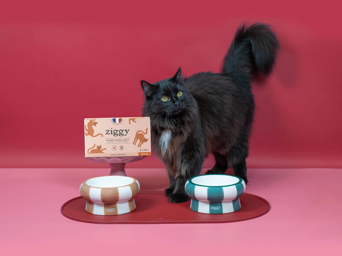 Pâtée Ziggy Entier Boeuf, visuel produit détouré