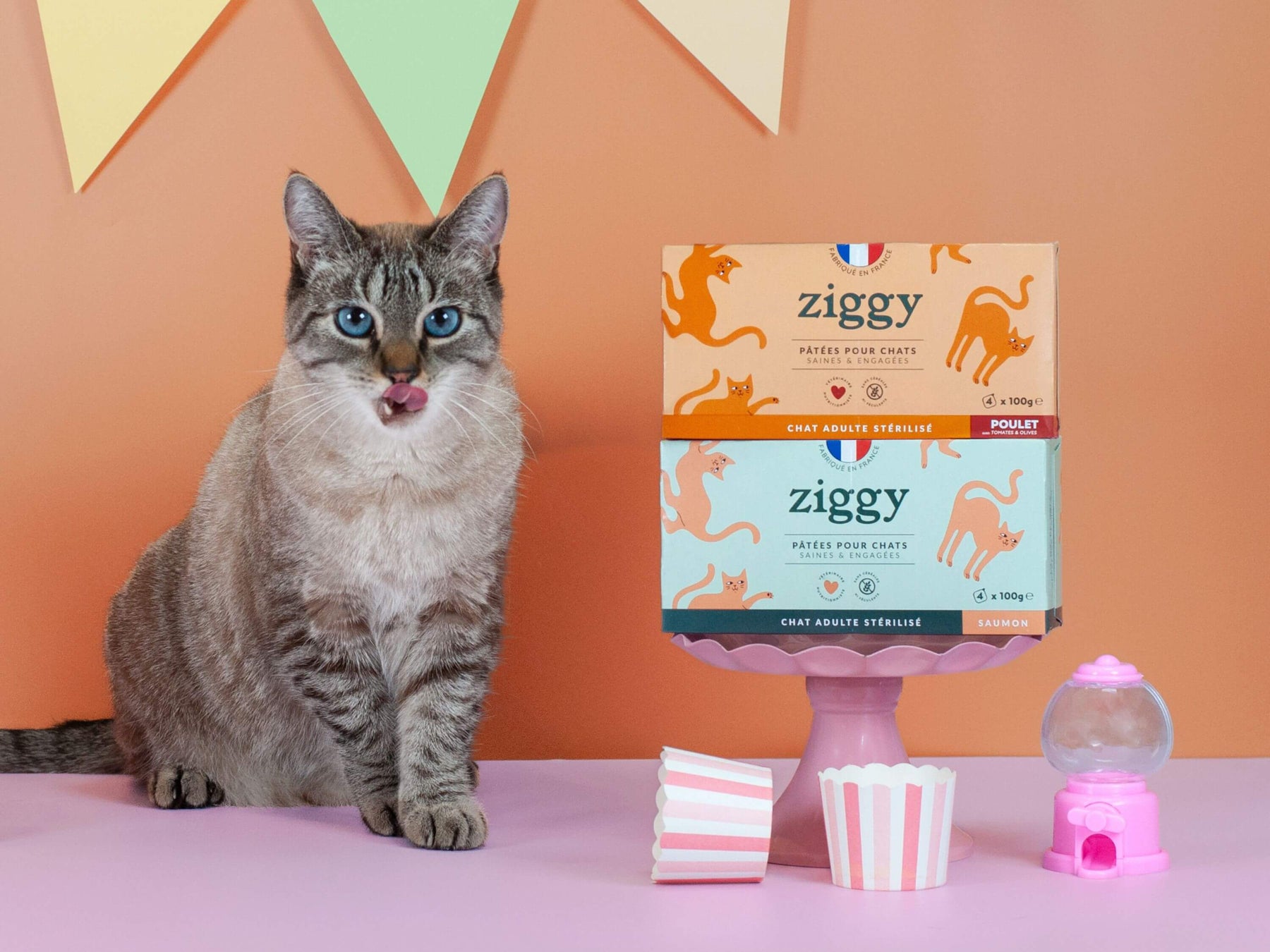 Pâtée Ziggy Stérilisé Poulet Olives, photo produit vue de face
