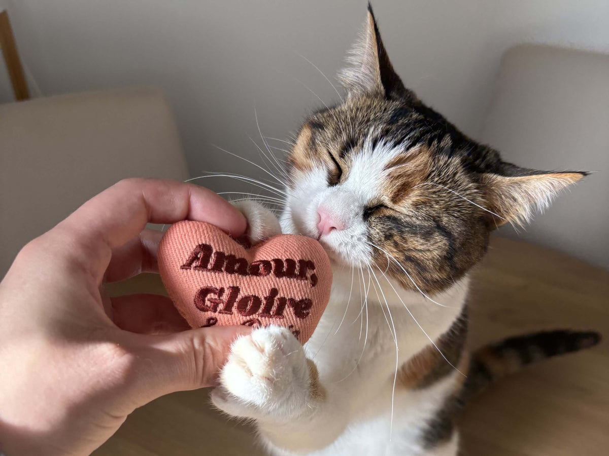 Peluche Ziggy Amour Gloire et Pâtée, second gros plan sur le tissu