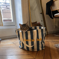 Chat adulte dans son totebag Ziggy Cool Cat Club