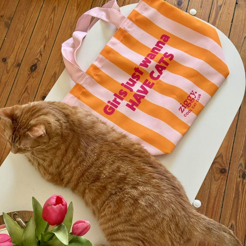 Tote bag Ziggy en toile, vue de face